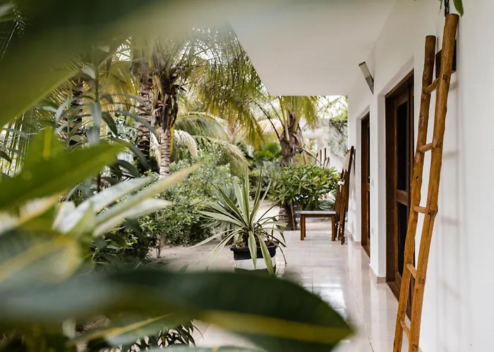 White Paradise Zanzibar